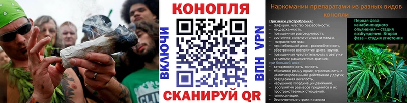 Как найти закладки Новоалтайск Alpha-PVP ГАШ Конопля